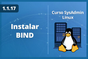 instalar-bind