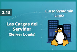 las-cargas-del-servidor-server-loads