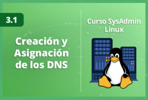 creación-y-asignación-de-los-dns