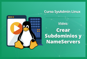 crear-subdominios-y-nameservers