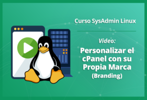 personalizar-el-cpanel-con-su-propia-marca-branding