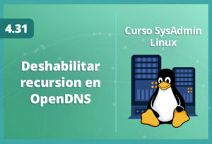 deshabilitar-recursion-en-opendns-en-linux