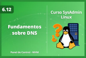 fundamentos-sobre-dns-en-whm