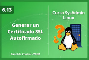 generar-un-certificado-ssl-autofirmado-en-whm